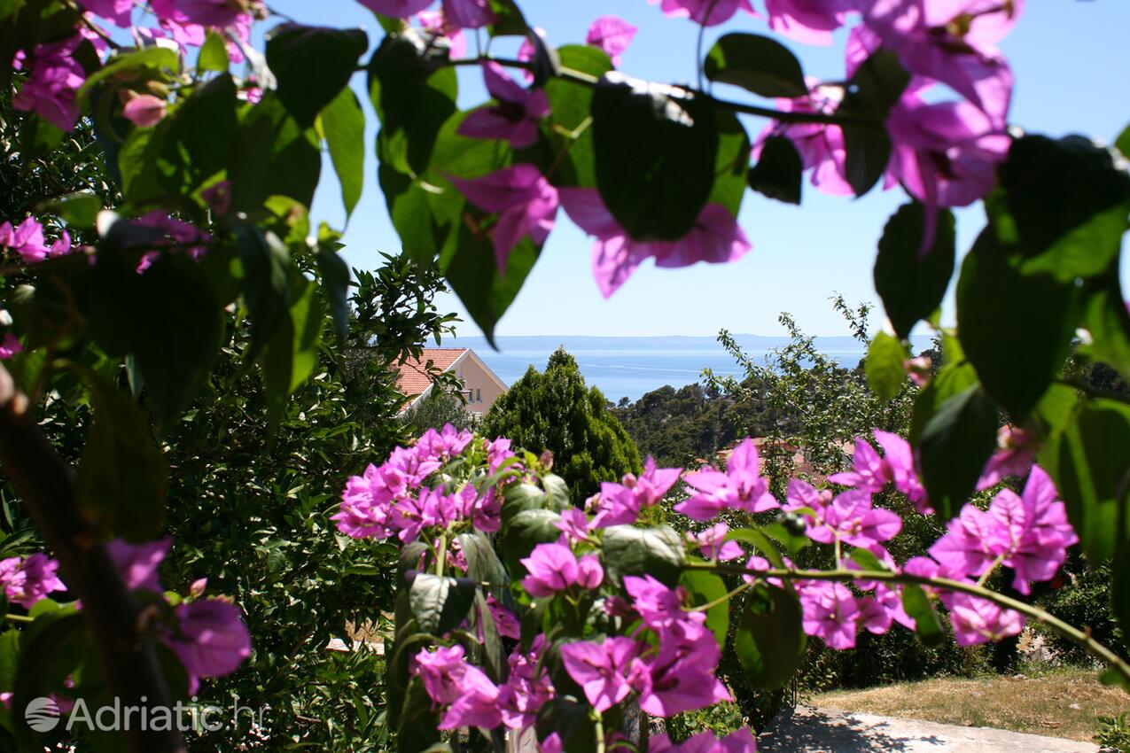 Krvavica i Rivieran Makarska (Srednja Dalmacija)