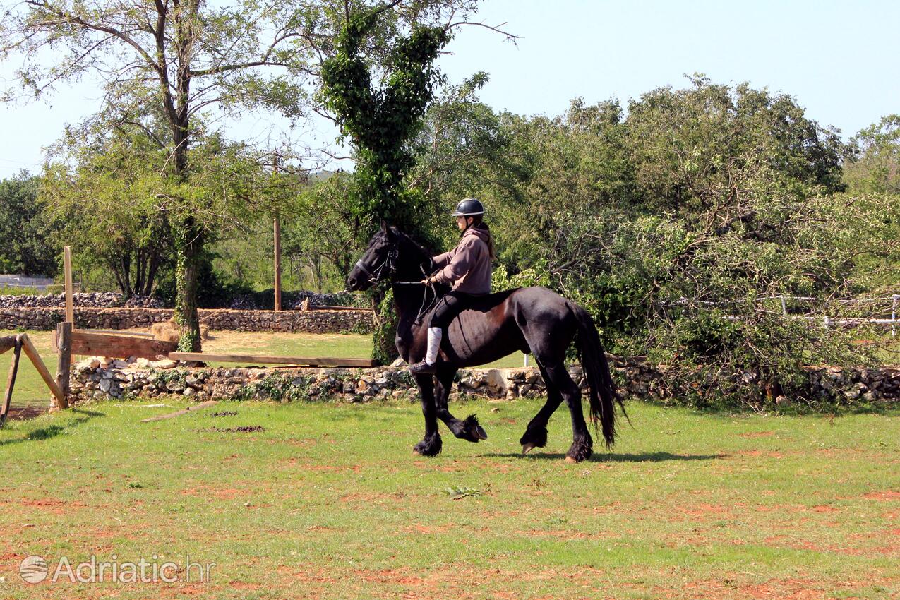 Manjadvorci i Riviera Marčana (Istra)