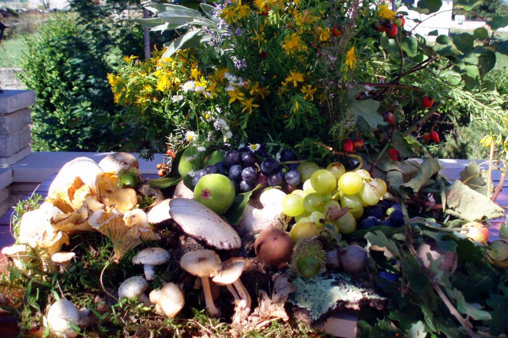 Manjadvorci i Riviera Marčana (Istra)