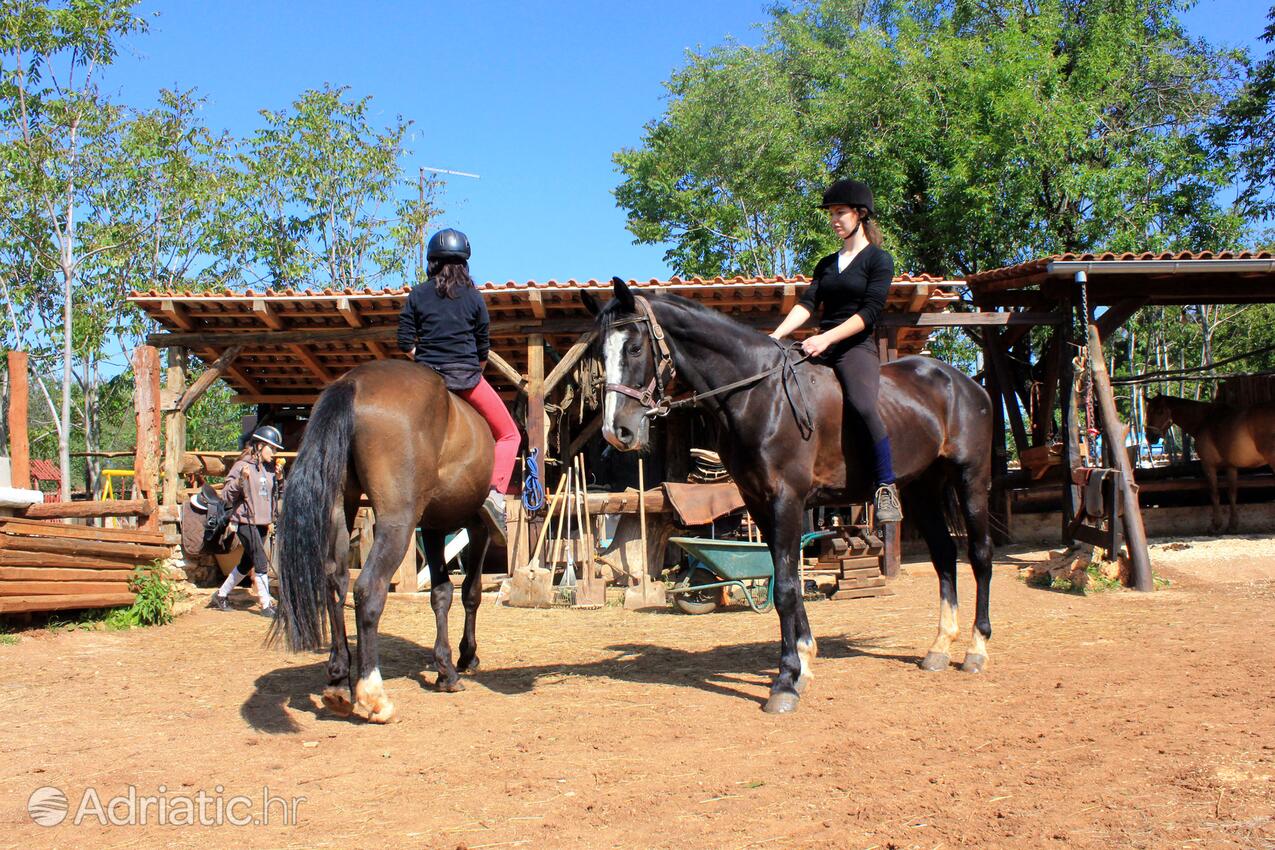 Manjadvorci i Riviera Marčana (Istra)