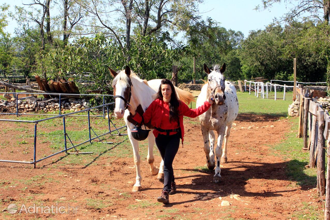 Manjadvorci i Riviera Marčana (Istra)