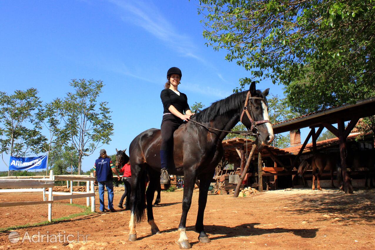 Manjadvorci i Riviera Marčana (Istra)