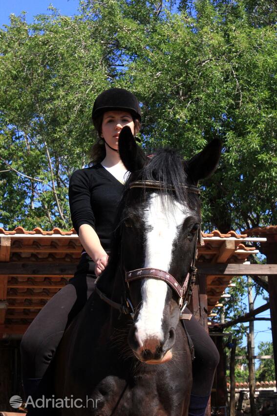 Manjadvorci i Riviera Marčana (Istra)