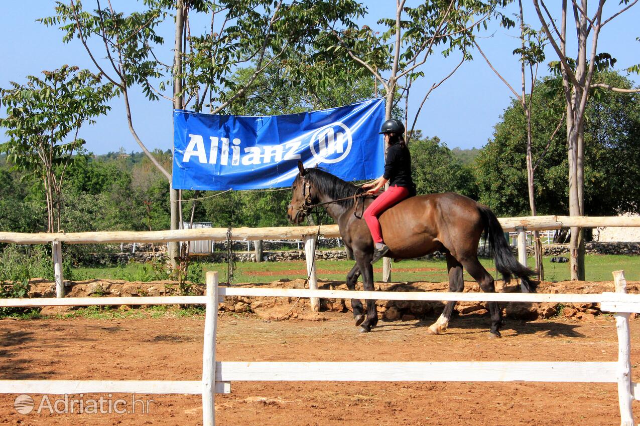 Manjadvorci i Riviera Marčana (Istra)