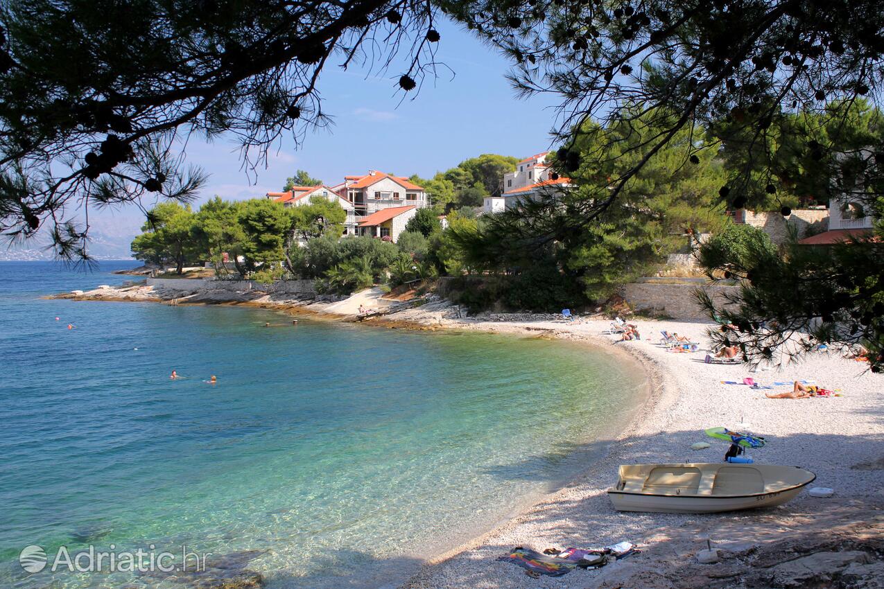 Spiagge nelle vicinanze - Villa di lusso accanto al mare con piscina Splitska, Brazza - Brač