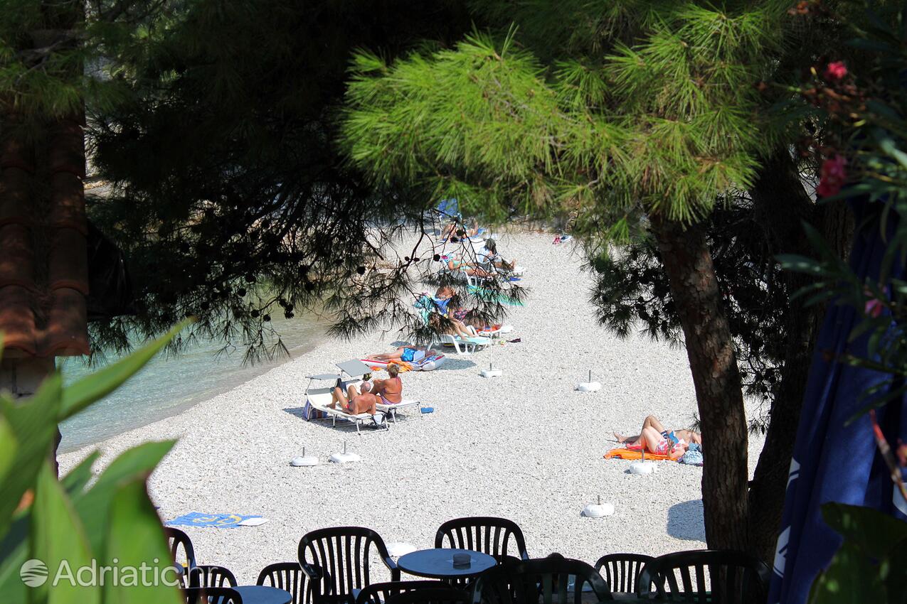 Spiagge nelle vicinanze - Villa di lusso accanto al mare con piscina Splitska, Brazza - Brač