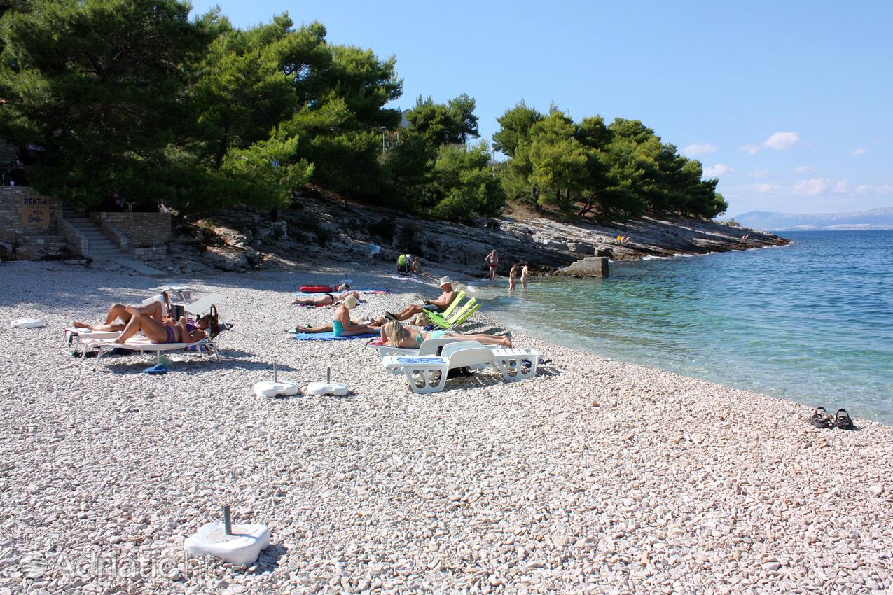 Spiagge nelle vicinanze - Villa di lusso accanto al mare con piscina Splitska, Brazza - Brač