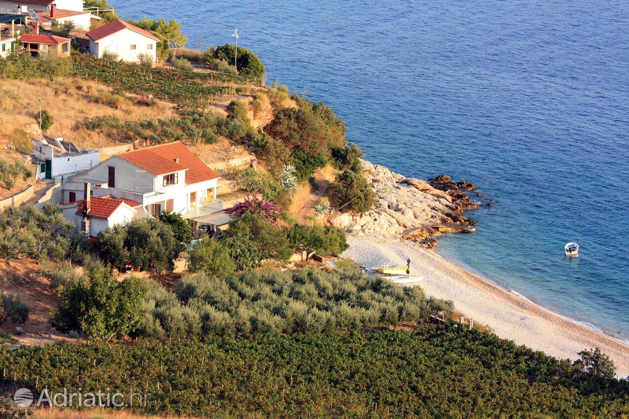 Vela Farska on the island Brač (Srednja Dalmacija)