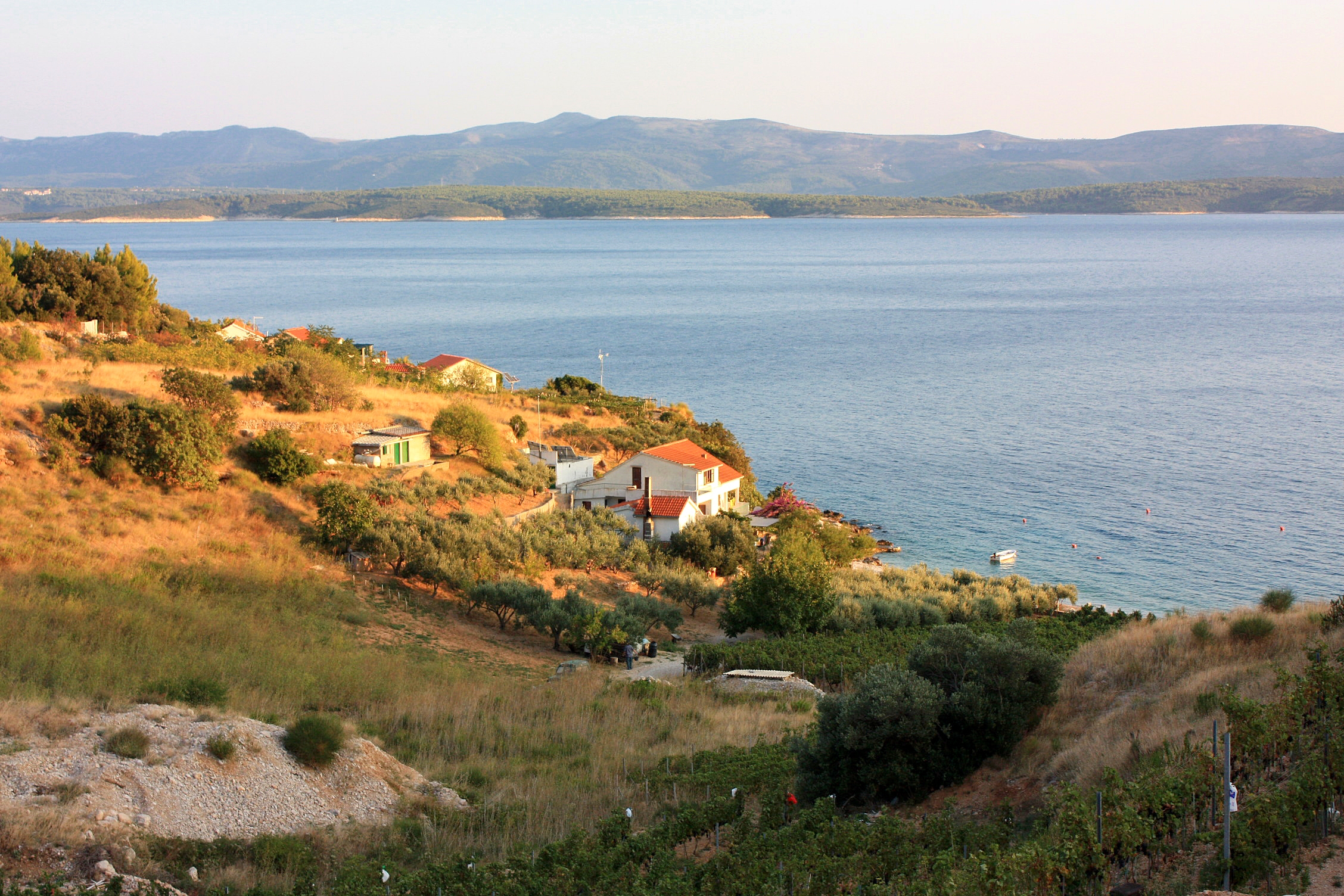 Dove soggiornare a Vela Farska