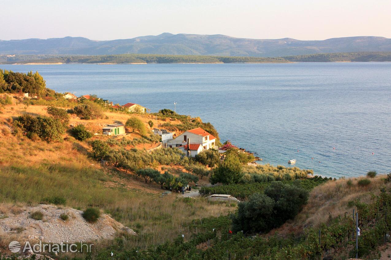 Vela Farska en la isla Brač (Srednja Dalmacija)