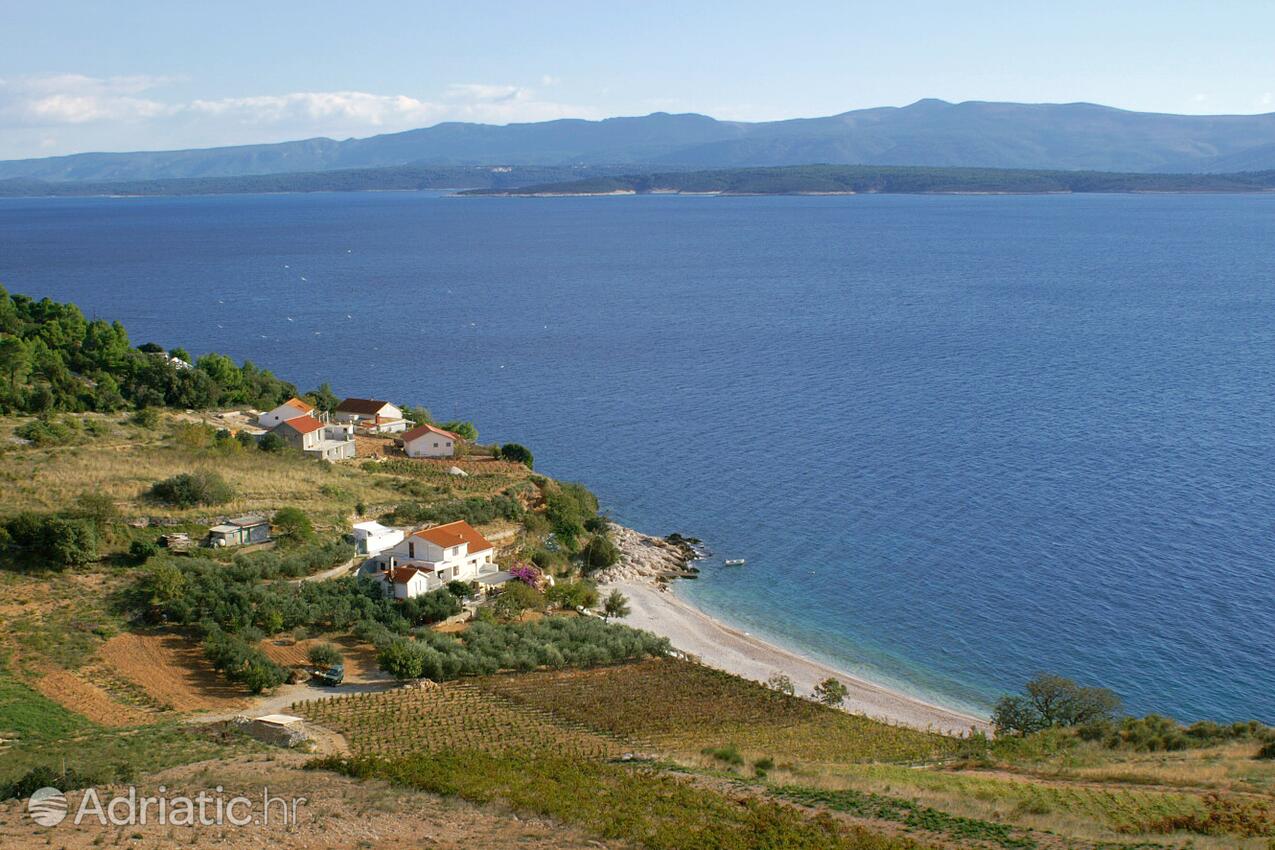 Vela Farska en la isla Brač (Srednja Dalmacija)