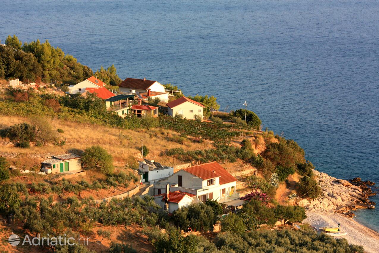 Vela Farska on the island Brač (Srednja Dalmacija)