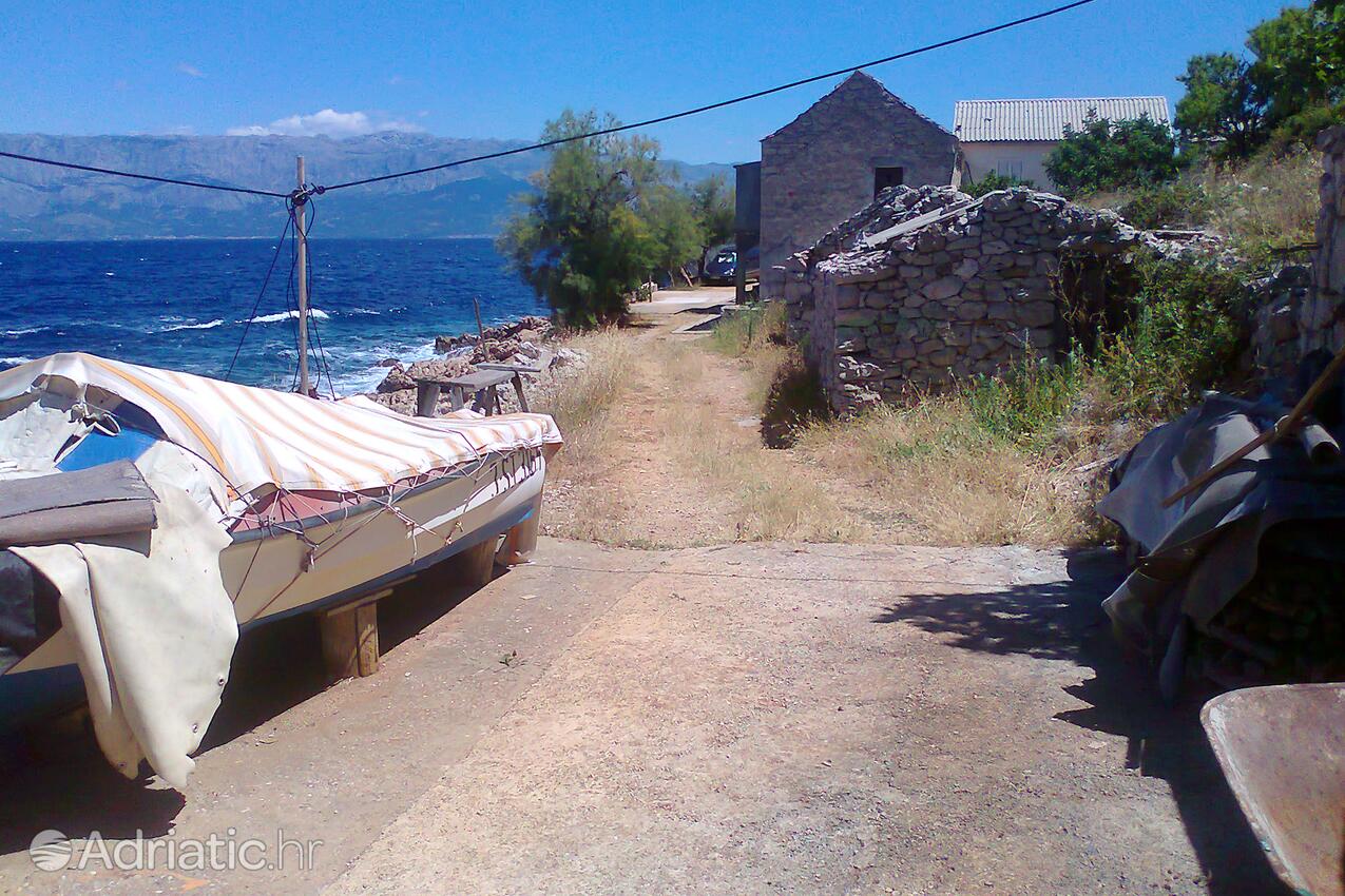 Virak na otoku Hvar (Srednja Dalmacija)