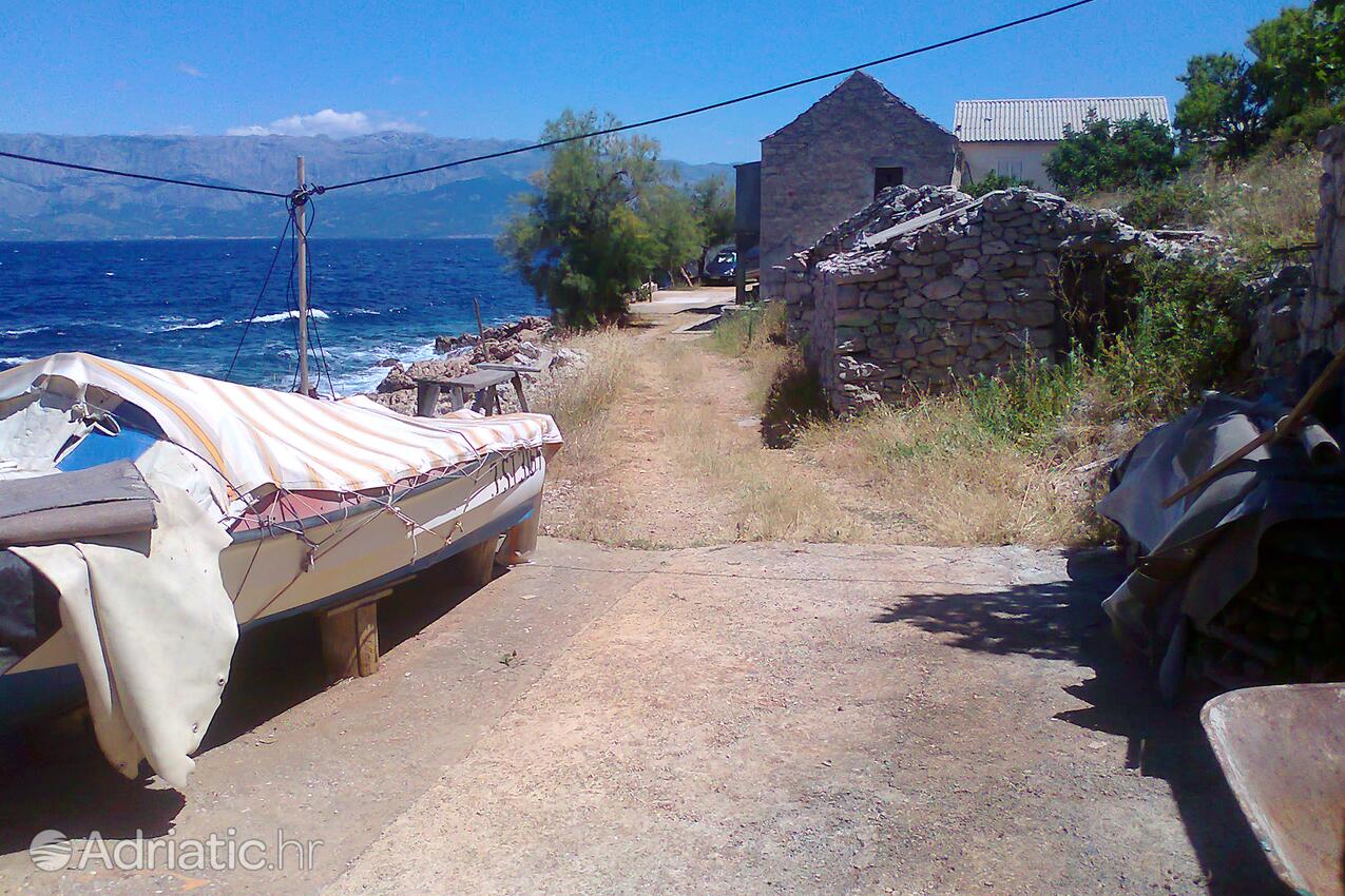 Virak på otoku Hvar (Srednja Dalmacija)