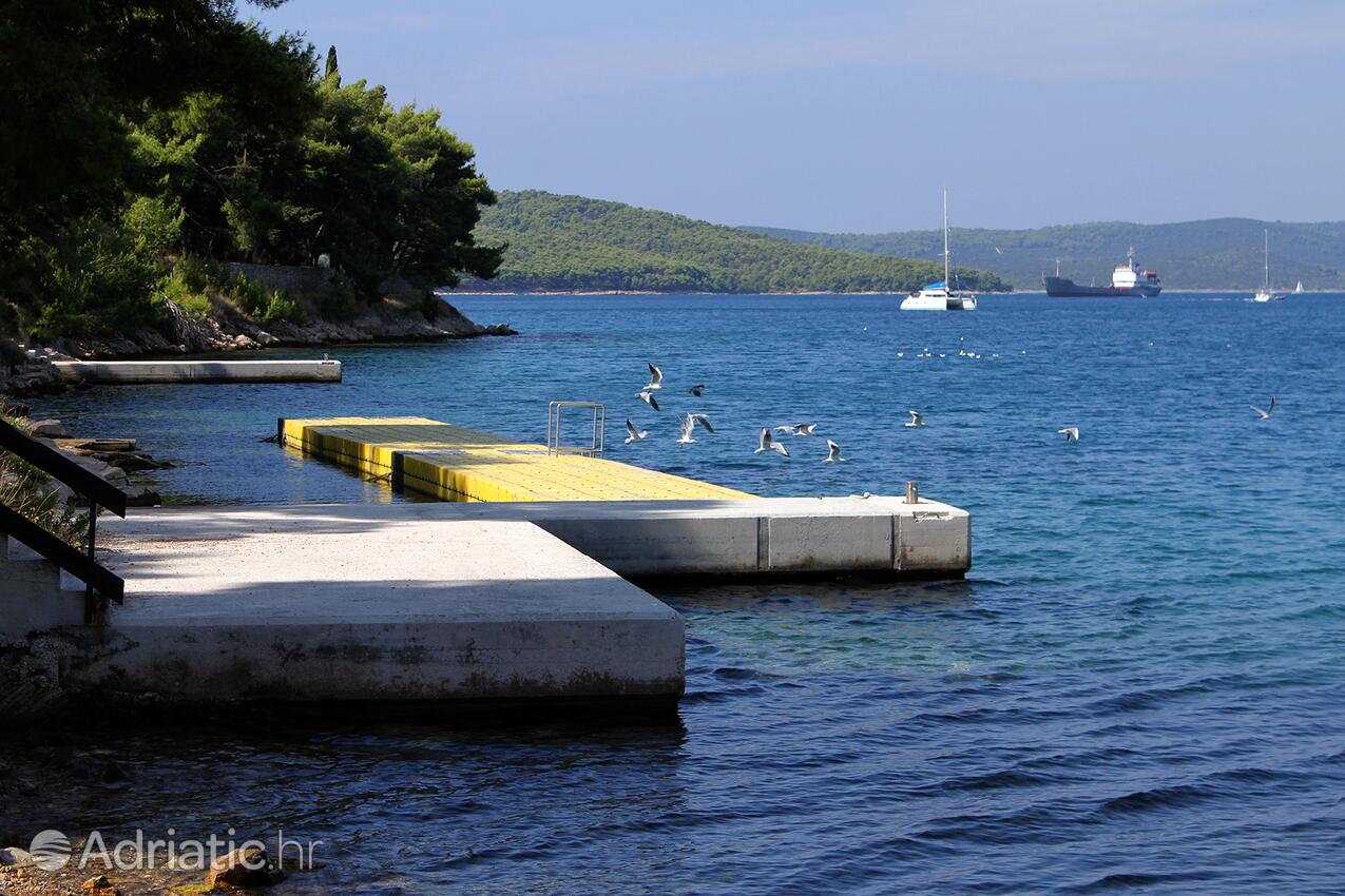 Nearby beaches - Apartments by the sea Cove Osibova, Brač