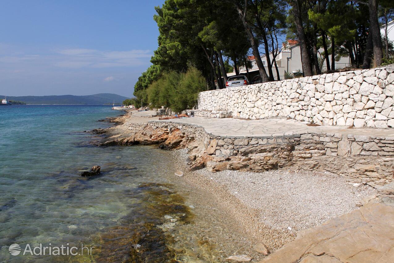 Nearby beaches - Apartments by the sea Cove Osibova, Brač