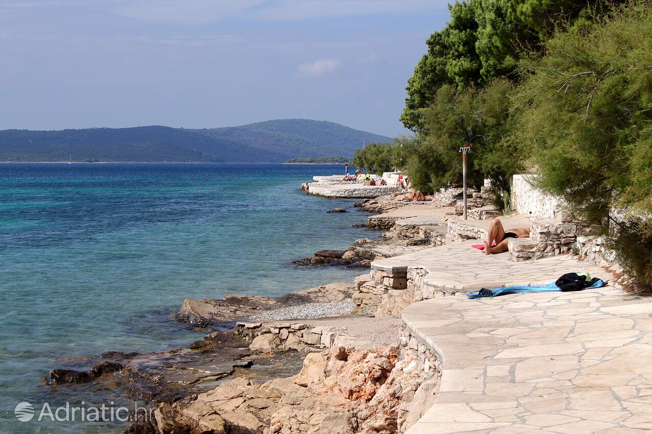 Nearby beaches - Apartments by the sea Cove Osibova, Brač