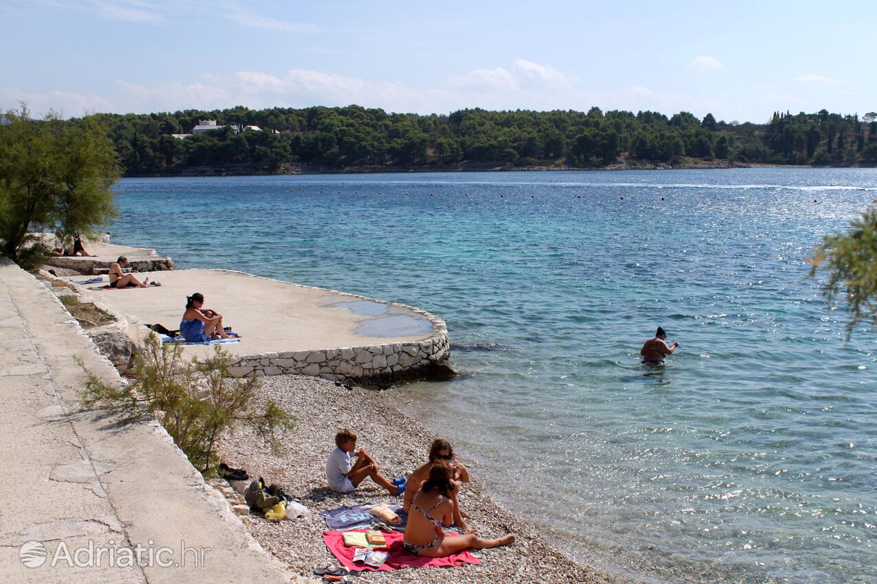 Nearby beaches - Apartments by the sea Cove Osibova, Brač