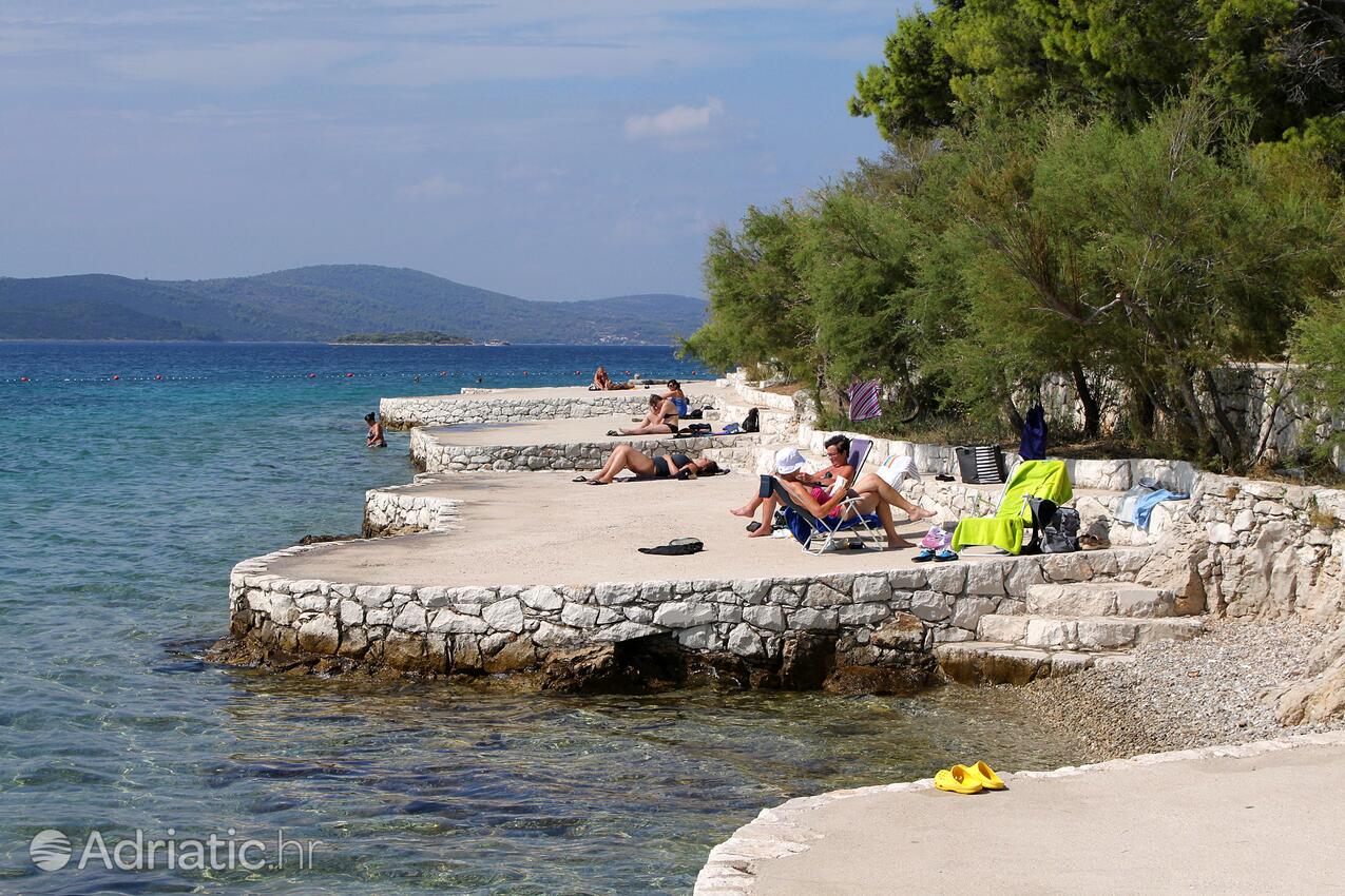 Nearby beaches - Apartments by the sea Cove Osibova, Brač