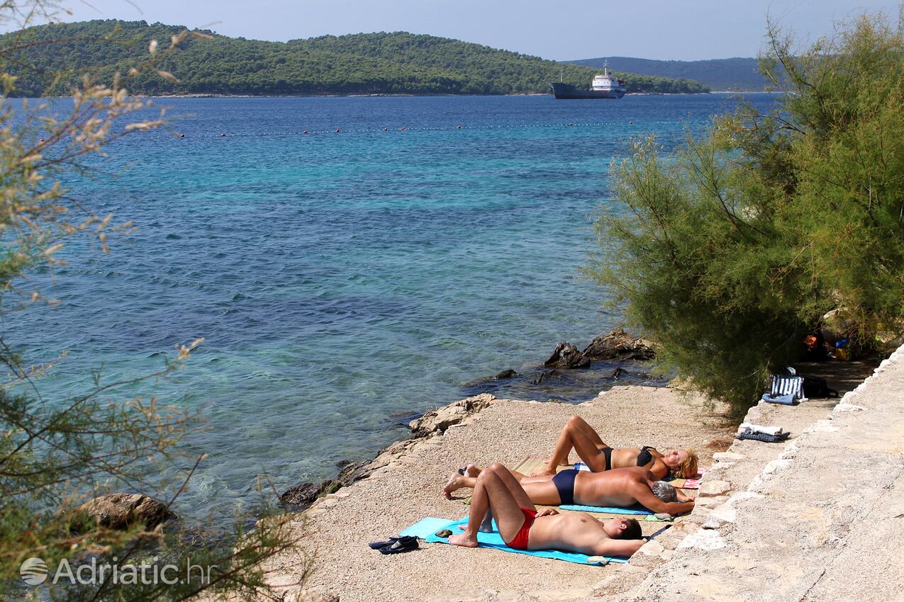 Nearby beaches - Apartments by the sea Cove Osibova, Brač