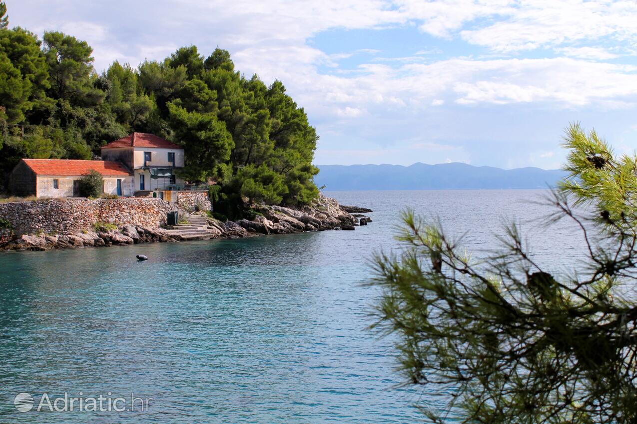 Skozanje auf der Insel  Hvar (Srednja Dalmacija)