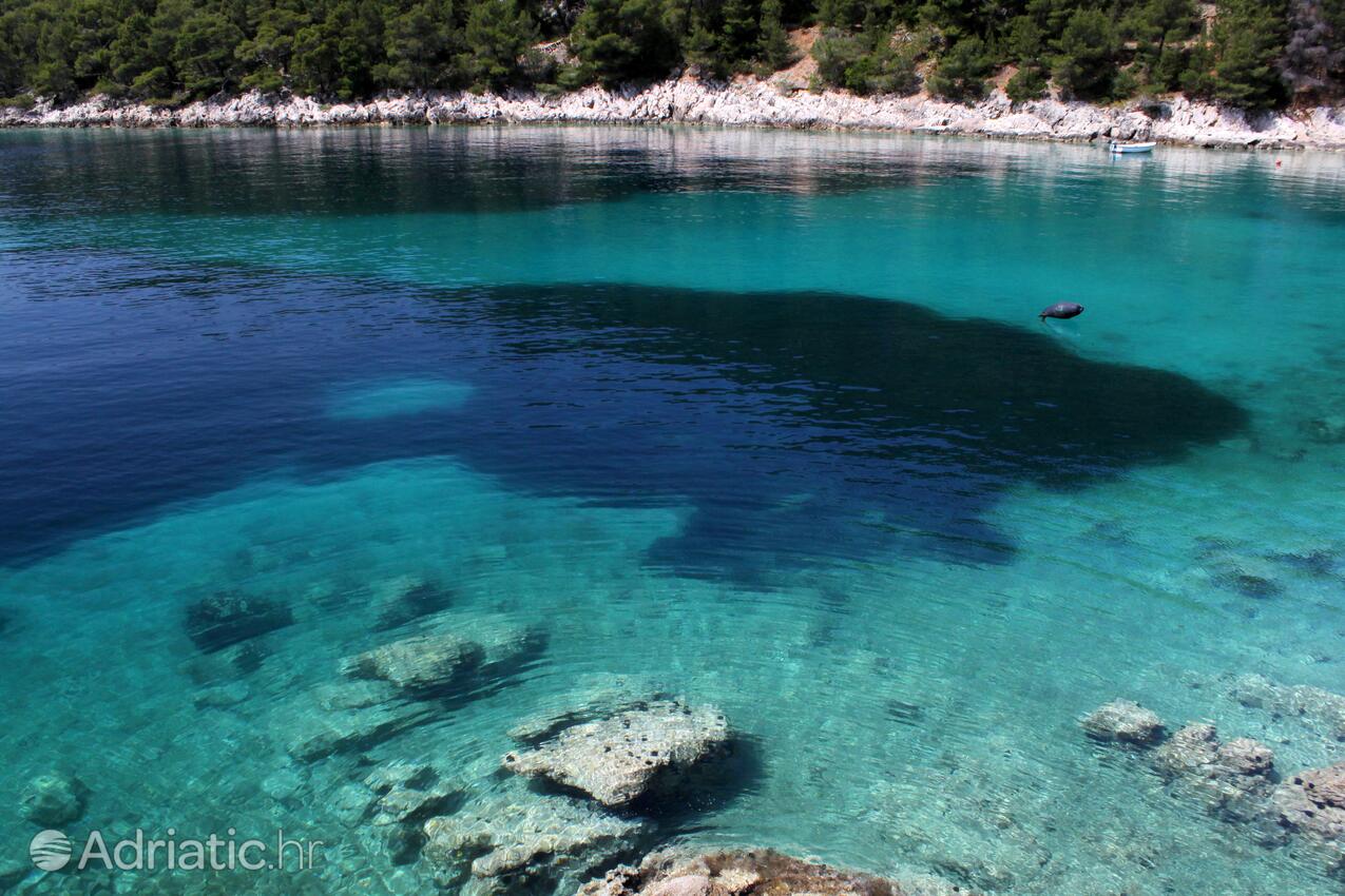 Skozanje auf der Insel  Hvar (Srednja Dalmacija)