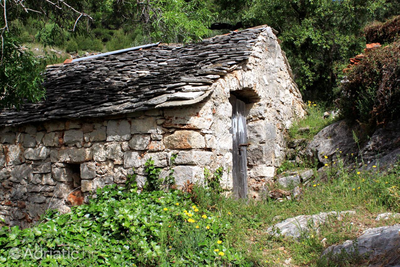 Lučica en la isla Hvar (Srednja Dalmacija)