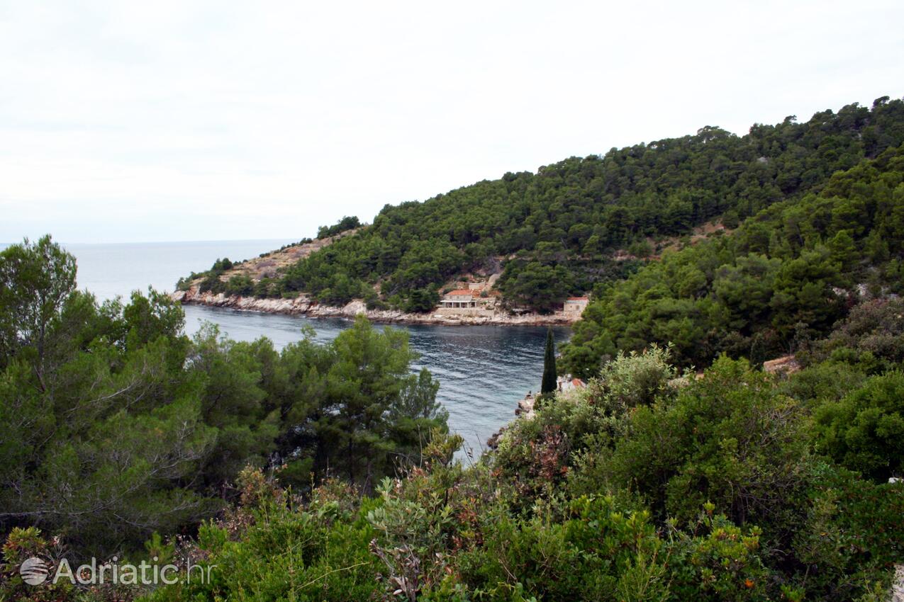 Lučica en la isla Hvar (Srednja Dalmacija)