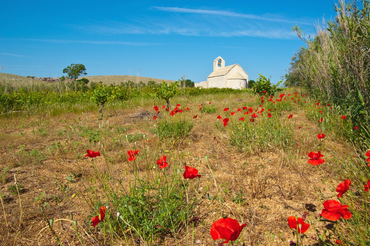 Povljana on the island Pag (Kvarner)