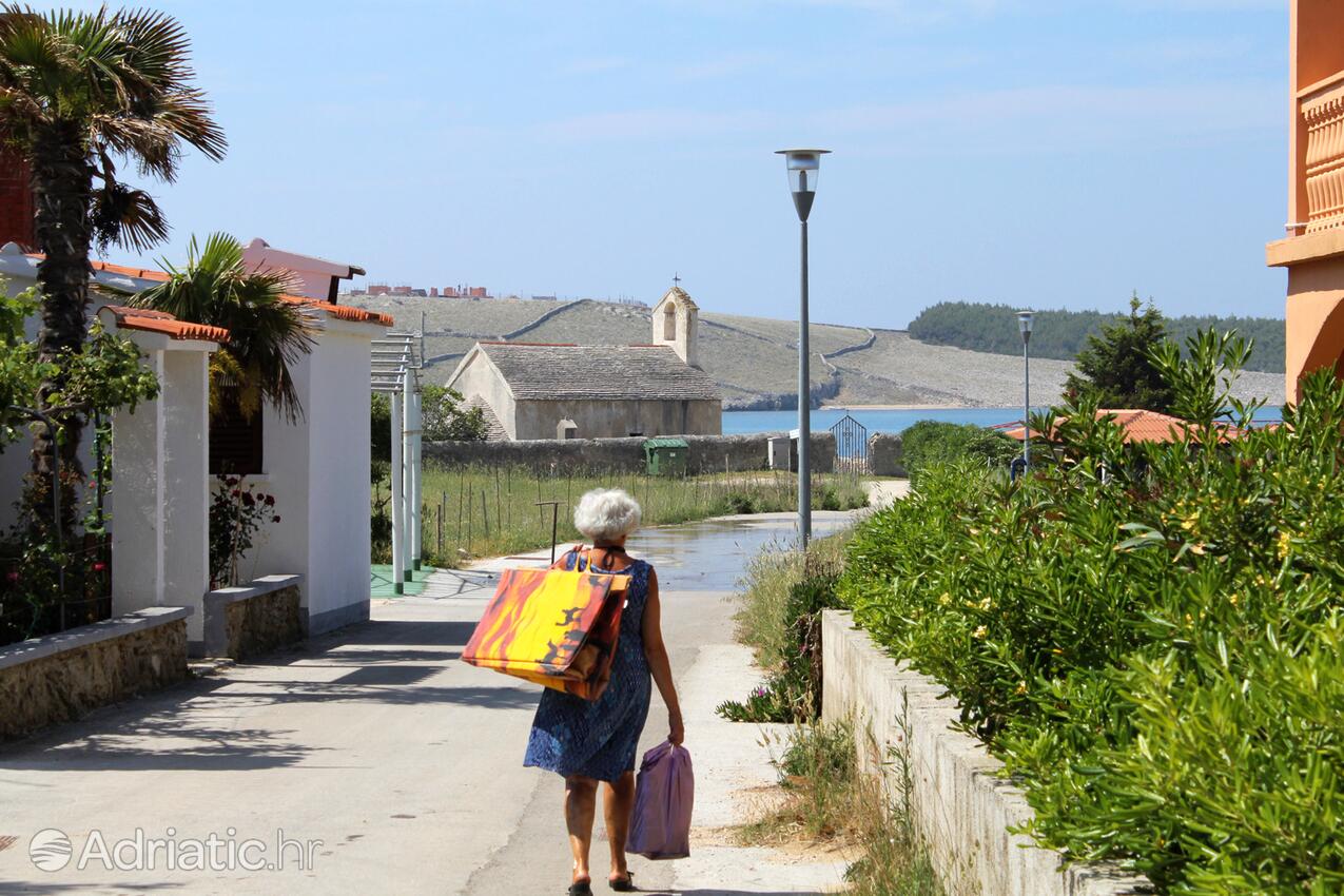 Povljana on the island Pag (Kvarner)