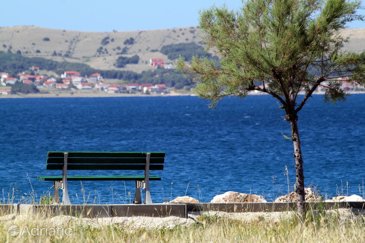 Povljana on the island Pag (Kvarner)