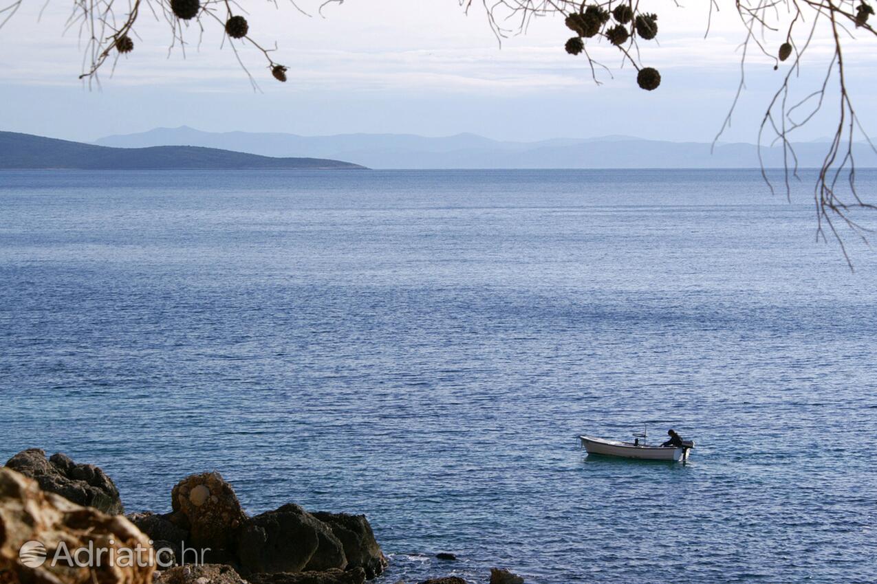 Jagodna sur l’île Hvar (Srednja Dalmacija)