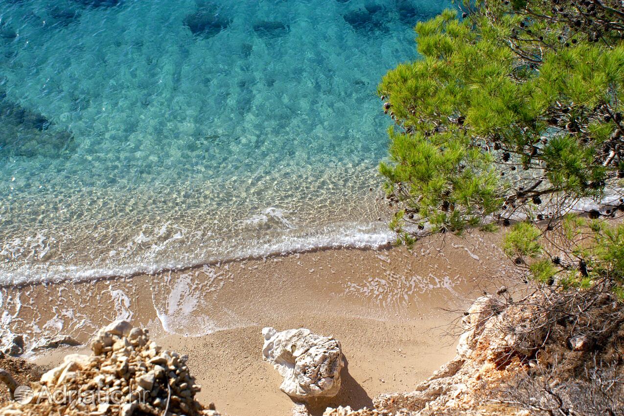 Jagodna en la isla Hvar (Srednja Dalmacija)