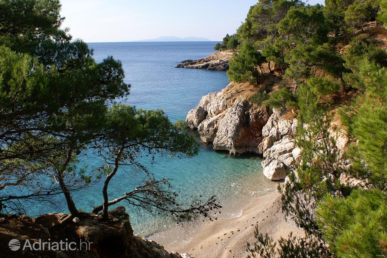 Jagodna sur l’île Hvar (Srednja Dalmacija)