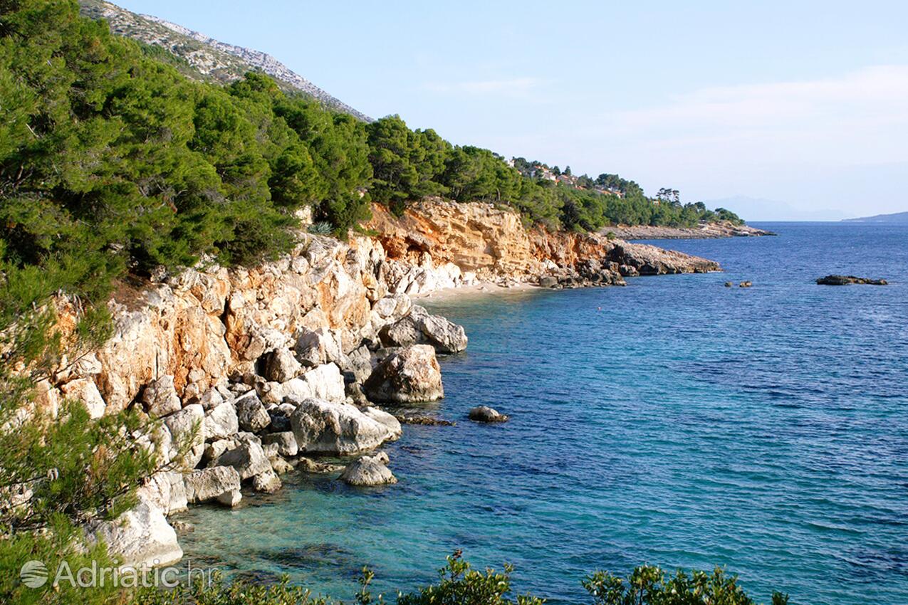 Jagodna en la isla Hvar (Srednja Dalmacija)