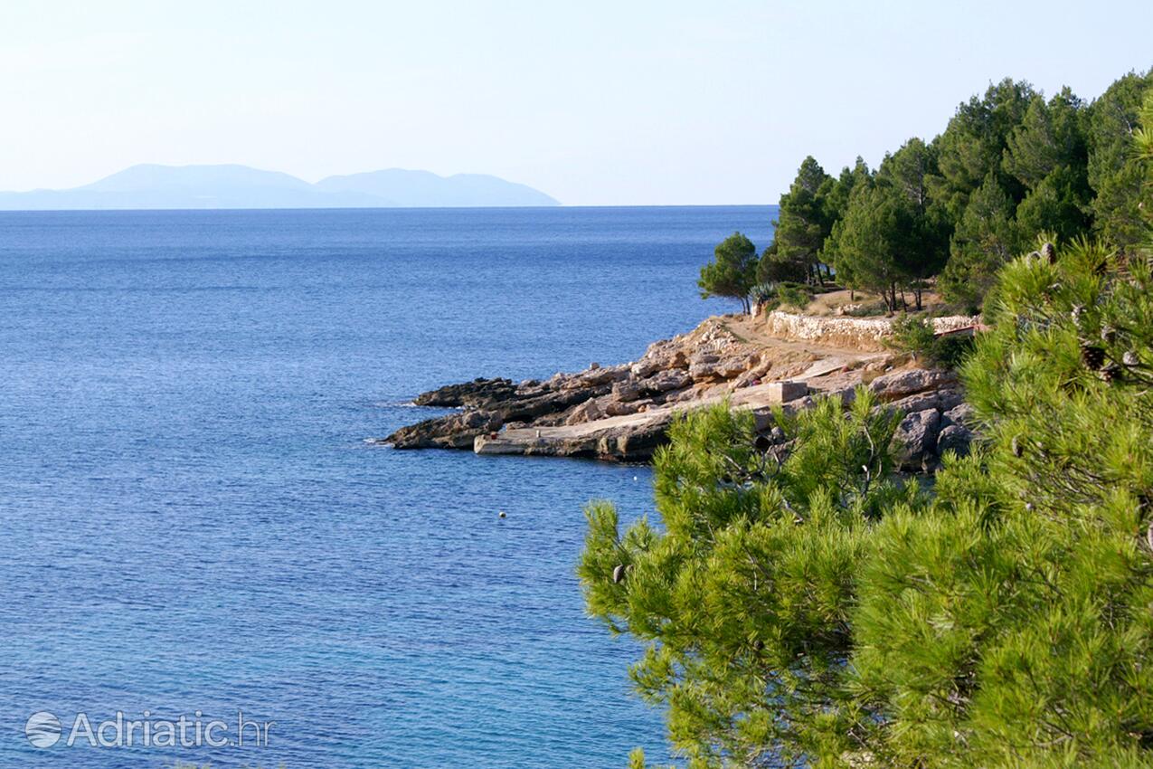 Jagodna sur l’île Hvar (Srednja Dalmacija)