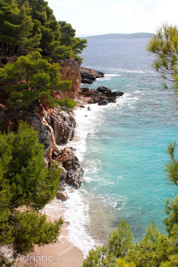 Jagodna en la isla Hvar (Srednja Dalmacija)