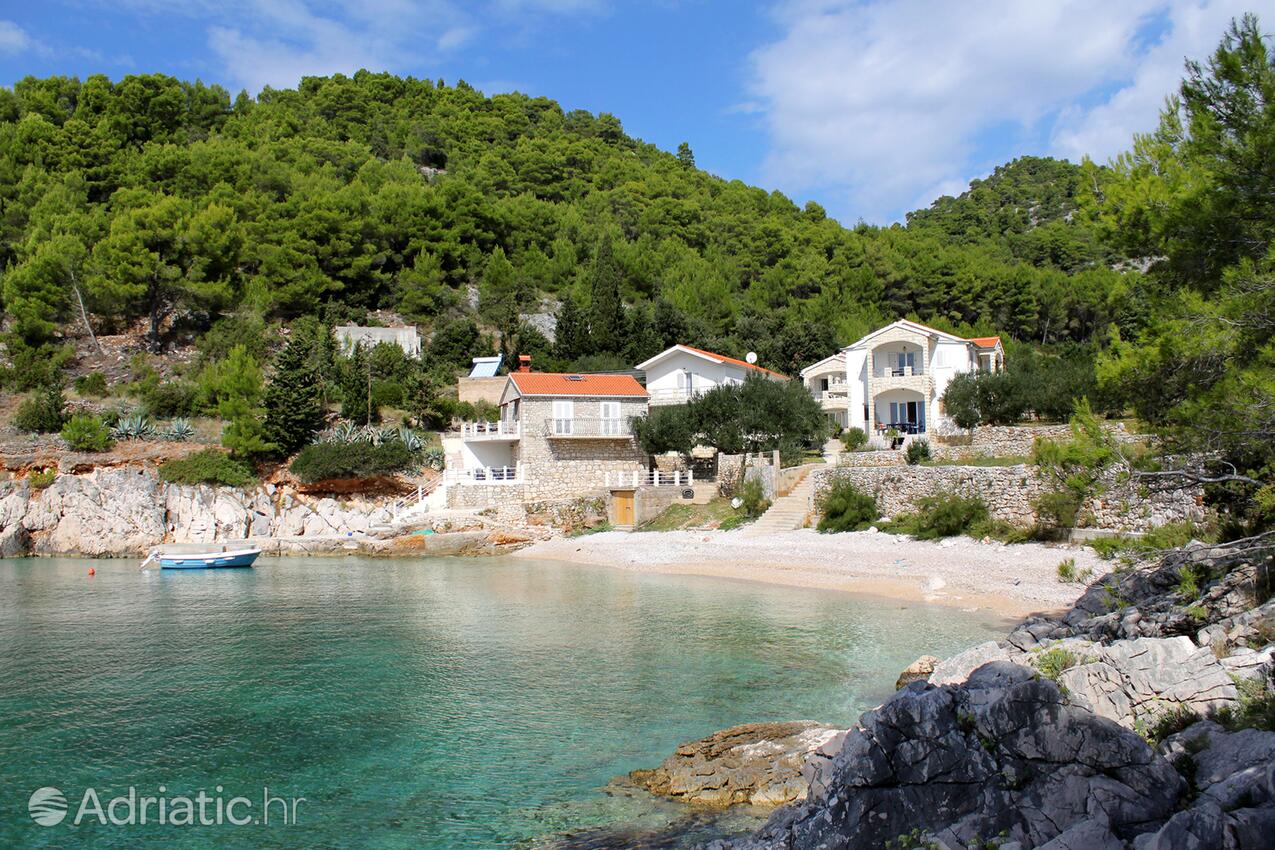 Jedra på otoku Hvar (Srednja Dalmacija)