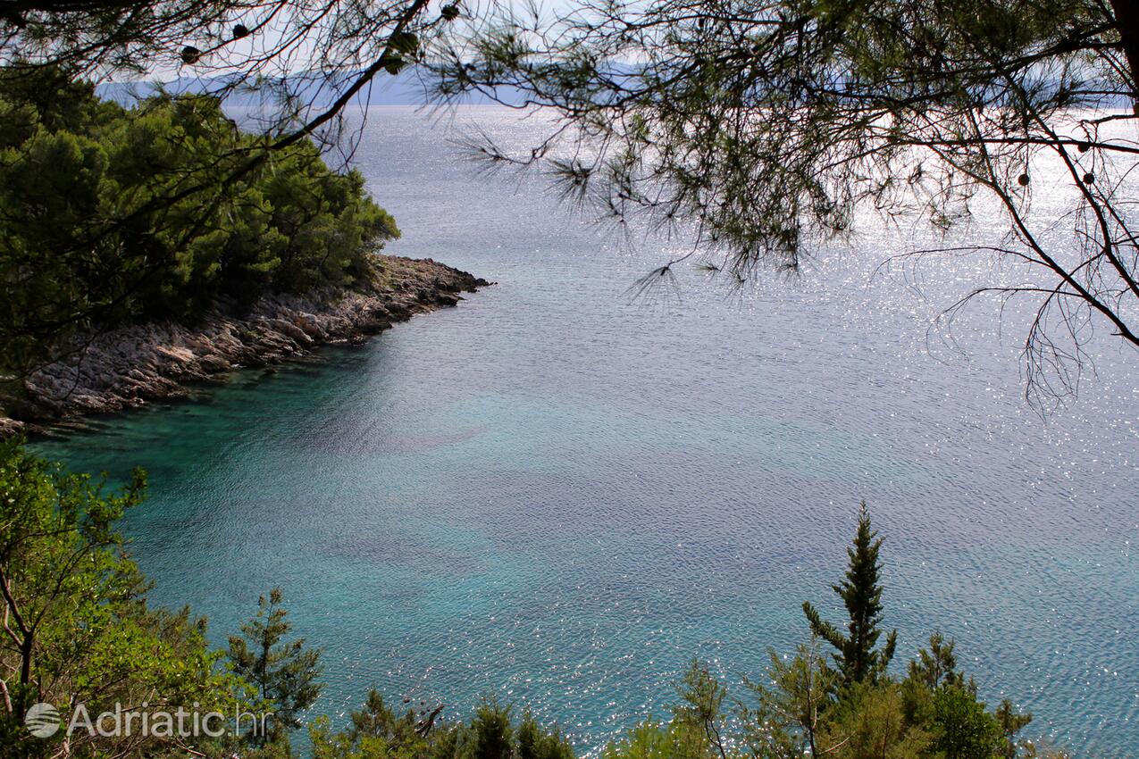 Jedra на острове Hvar (Srednja Dalmacija)