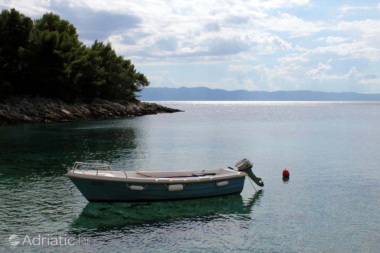 Jedra på otoku Hvar (Srednja Dalmacija)