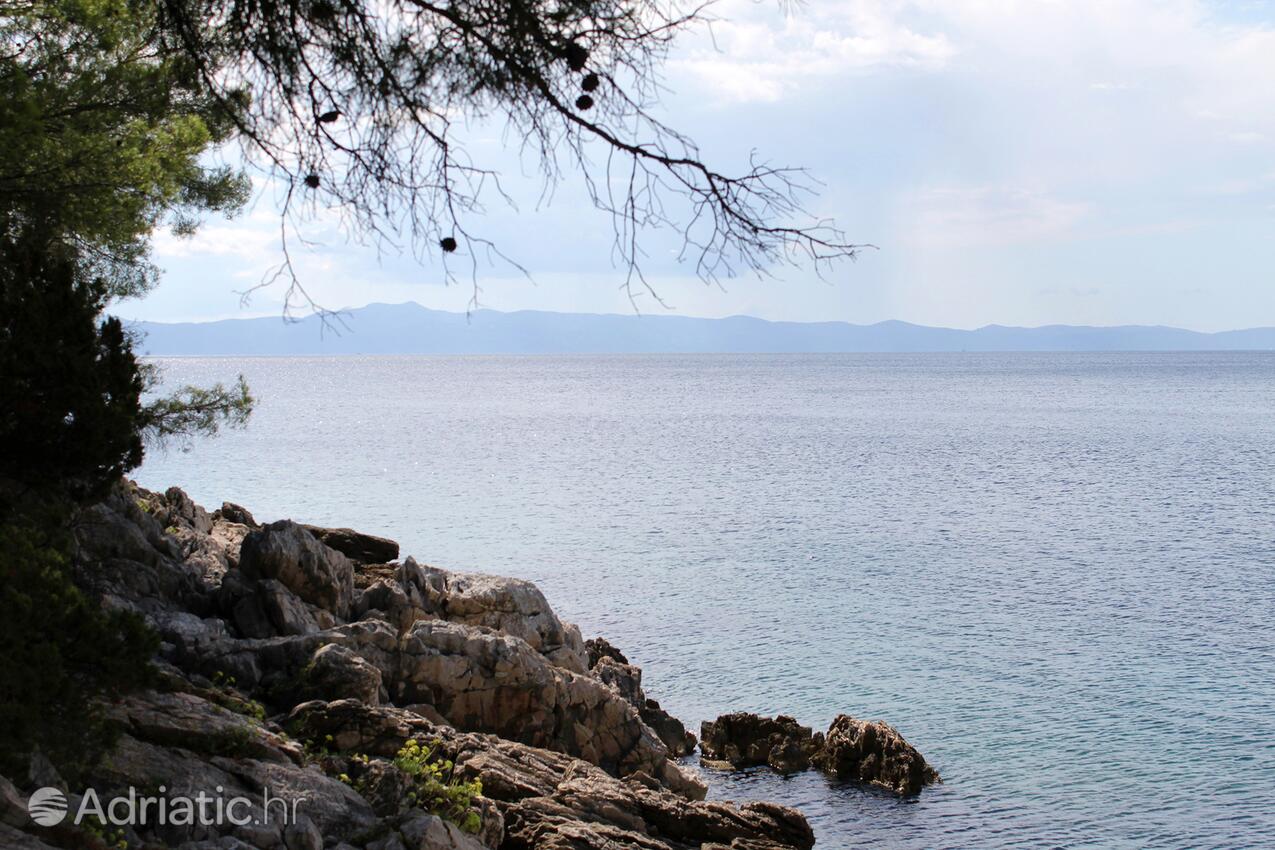 Jedra на острове Hvar (Srednja Dalmacija)