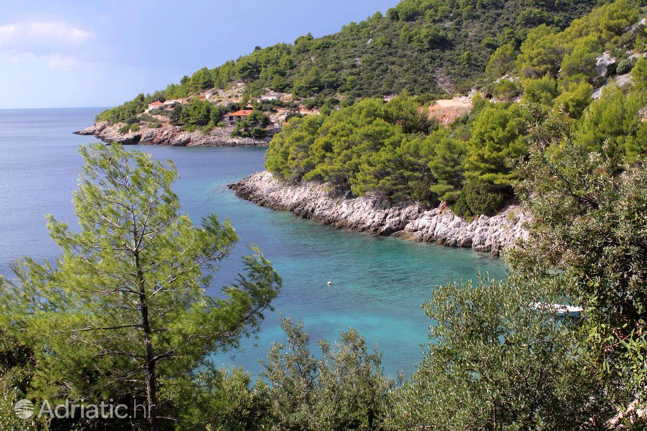 Jedra на острове Hvar (Srednja Dalmacija)