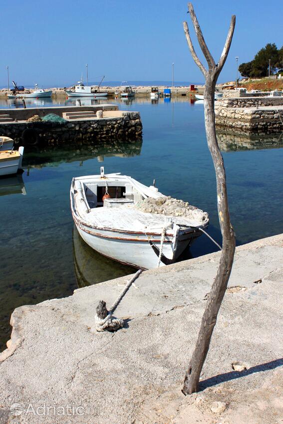 Jakišnica on the island Pag (Kvarner)