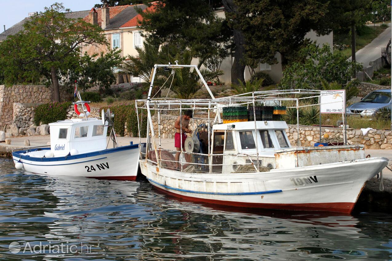 Jakišnica auf der Insel  Pag (Kvarner)