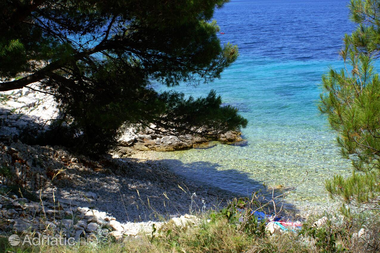 Spiagge nelle vicinanze - Appartamenti con parcheggio Bilo, Capocesto - Primošten