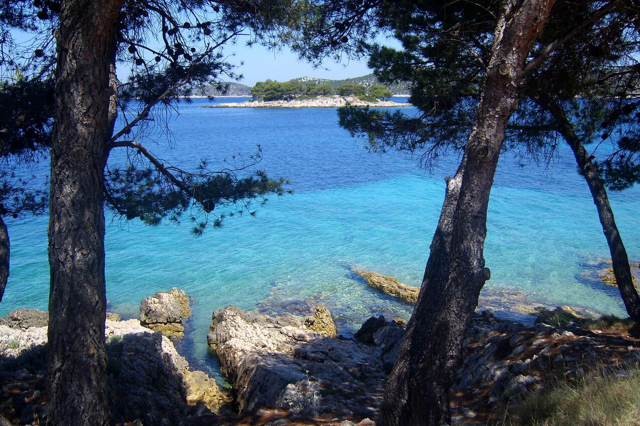Spiagge nelle vicinanze - Appartamenti con parcheggio Bilo, Capocesto - Primošten