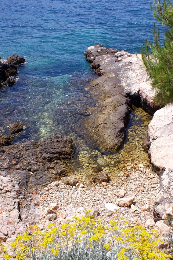 Spiagge nelle vicinanze - Appartamenti con parcheggio Bilo, Capocesto - Primošten