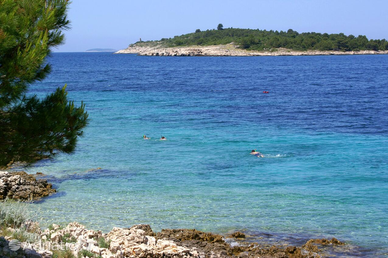 Spiagge nelle vicinanze - Appartamenti con parcheggio Bilo, Capocesto - Primošten