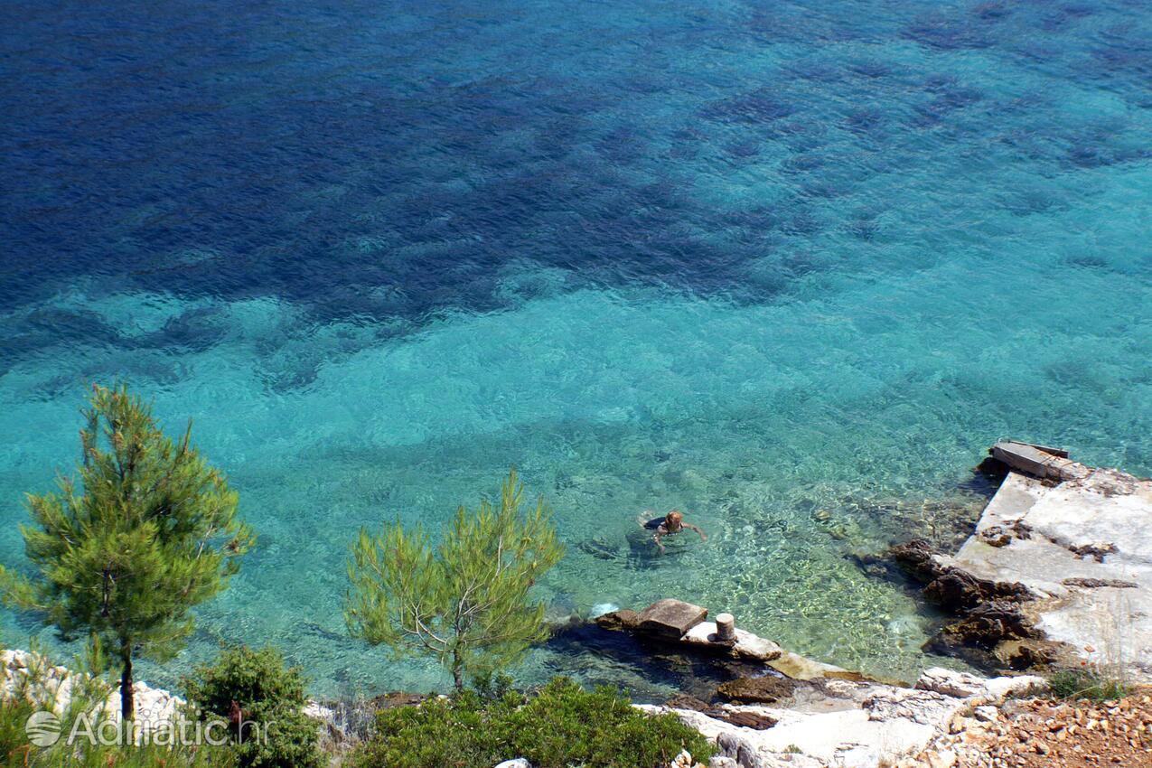 Spiagge nelle vicinanze - Appartamenti con parcheggio Bilo, Capocesto - Primošten