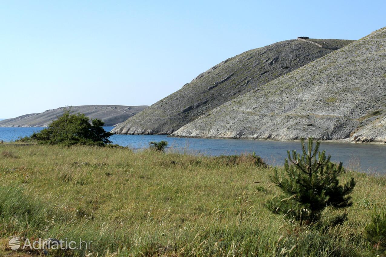 Vlašići on the island Pag (Kvarner)